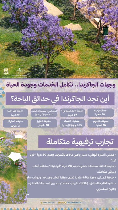 أمانة الباحة تهيئ وجهات ترفيهية متكاملة بحدائق الجاكرندا